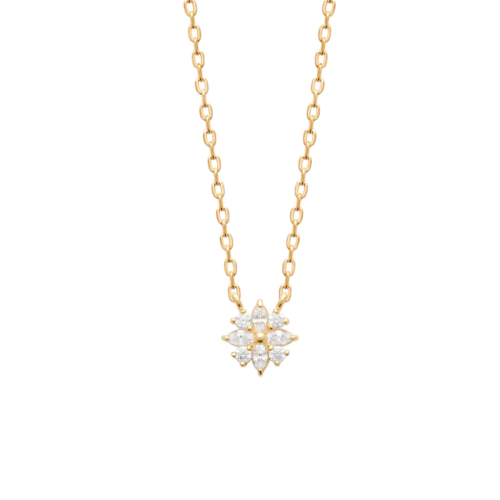 Collier Vénus